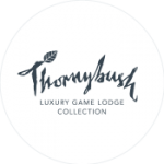 thornybush-luxury-game-lodge-collection